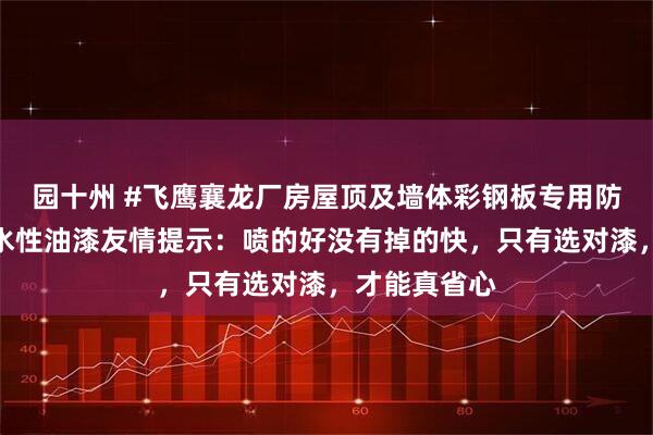 园十州 #飞鹰襄龙厂房屋顶及墙体彩钢板专用防腐换色翻新水性油漆友情提示：喷的好没有掉的快，只有选对漆，才能真省心